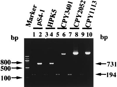 FIG. 3