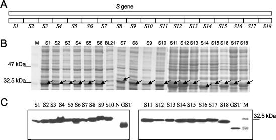 FIG. 1.