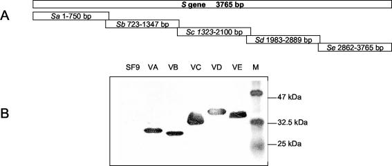 FIG. 2.