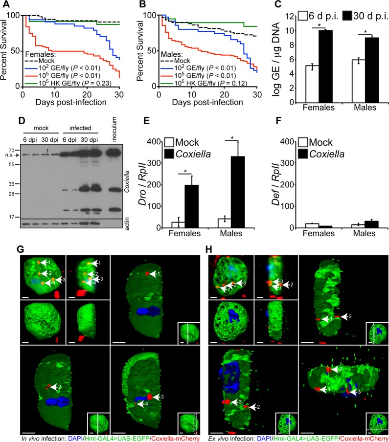 FIG 3