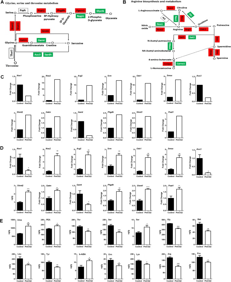 FIG 1