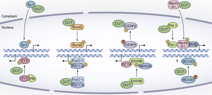 Figure 3