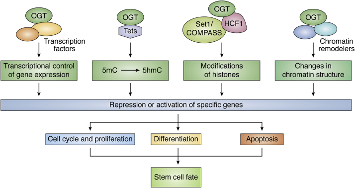 Figure 4