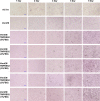 FIG 3