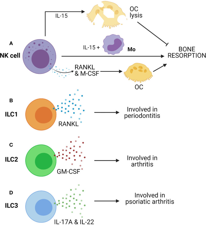 Figure 4