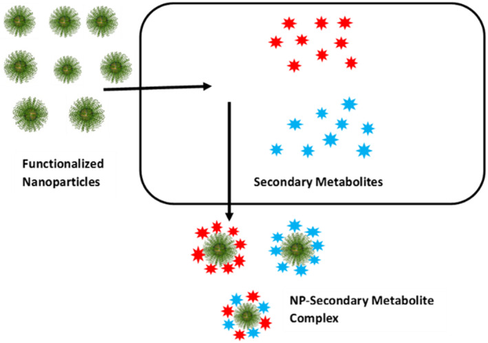 FIGURE 3