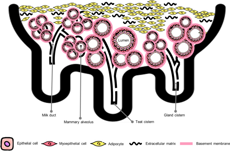 Fig. 3