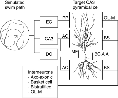 Fig. 1