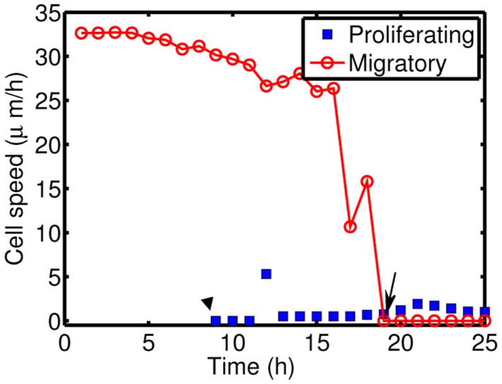 Figure 10