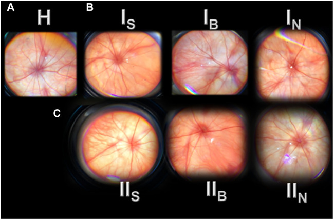 FIGURE 2