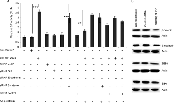 FIG. 12.