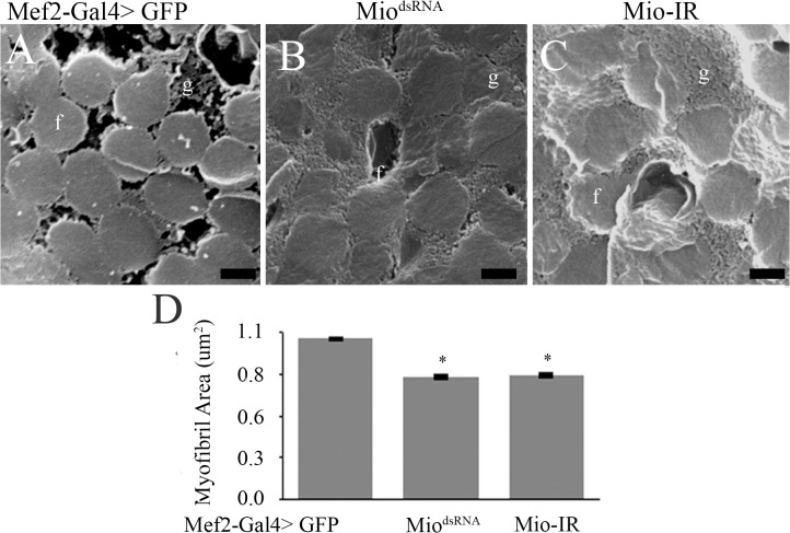 Fig 4
