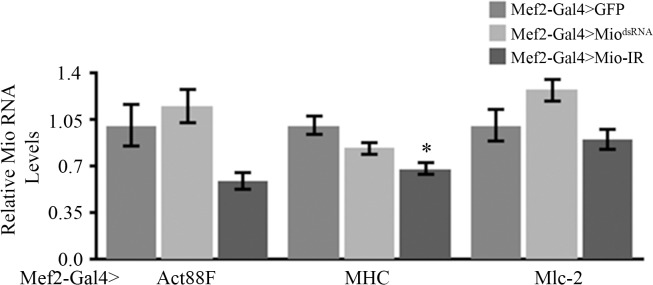 Fig 7