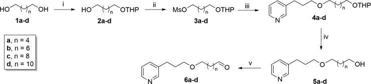 Scheme 1