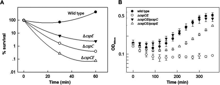 FIG 6