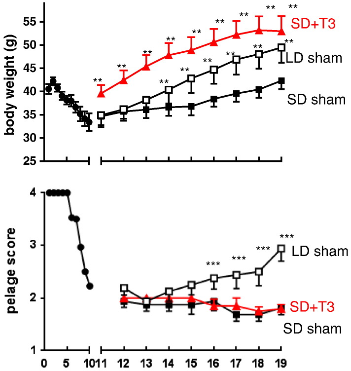 Fig. 3