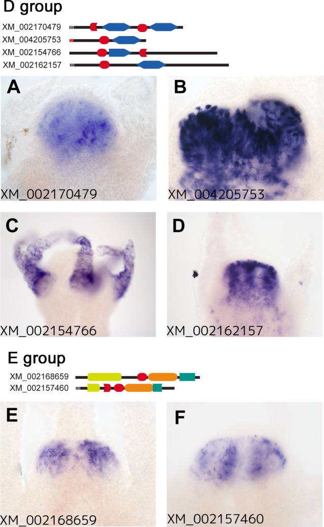 Fig 4