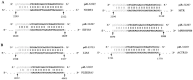 Fig 8