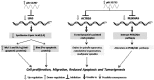 Fig 12