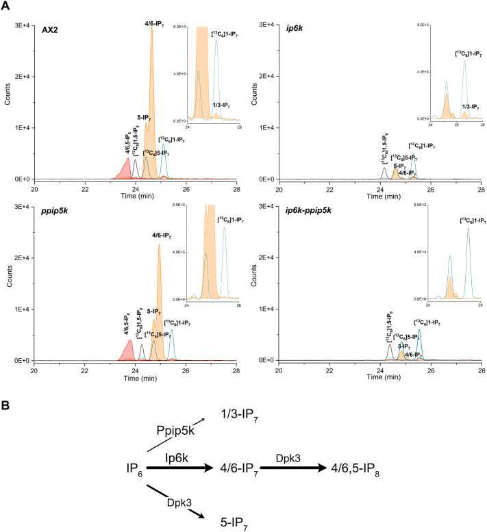 Fig. 6