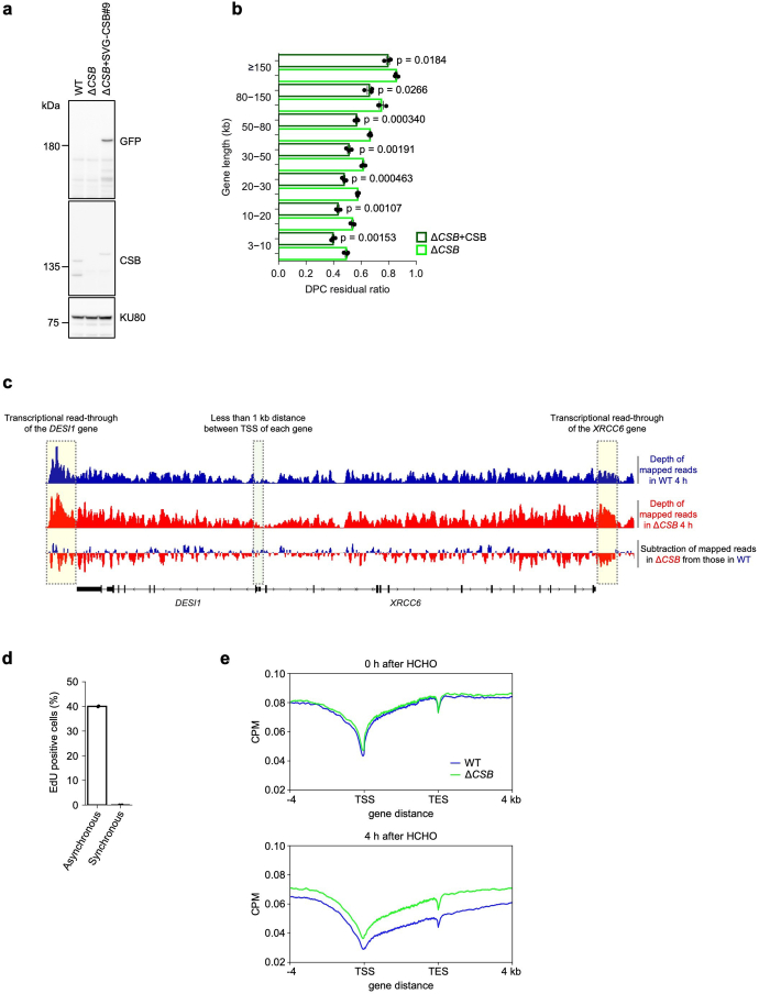 Extended Data Fig. 4