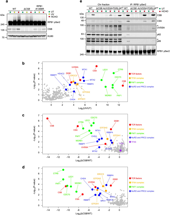 Extended Data Fig. 2