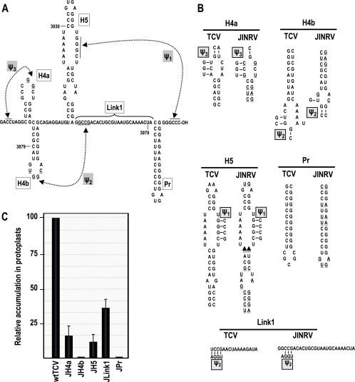 FIG. 6.