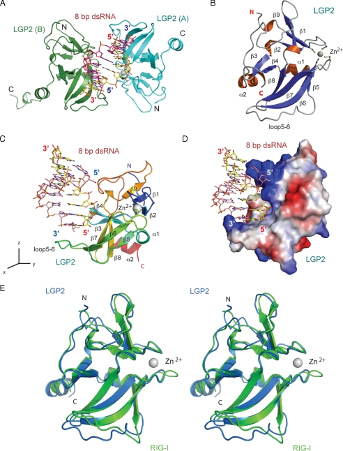 FIGURE 1.