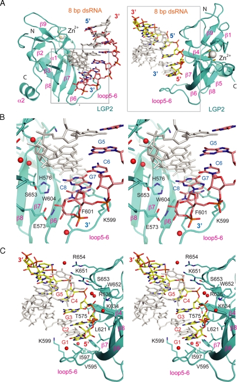 FIGURE 2.