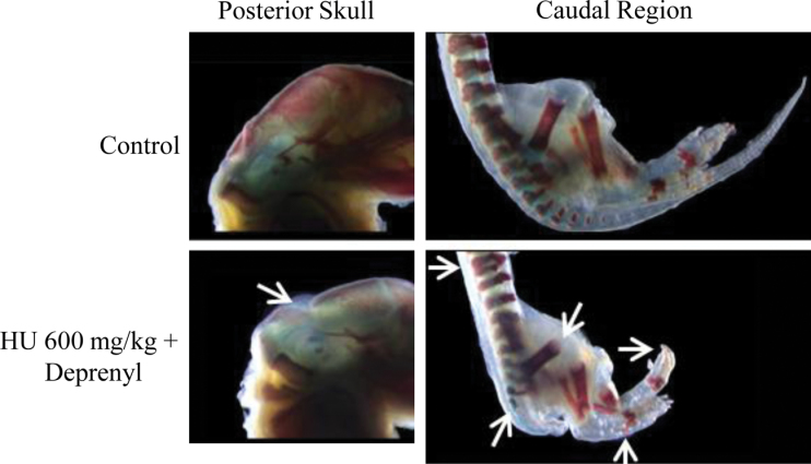 Fig. 3.