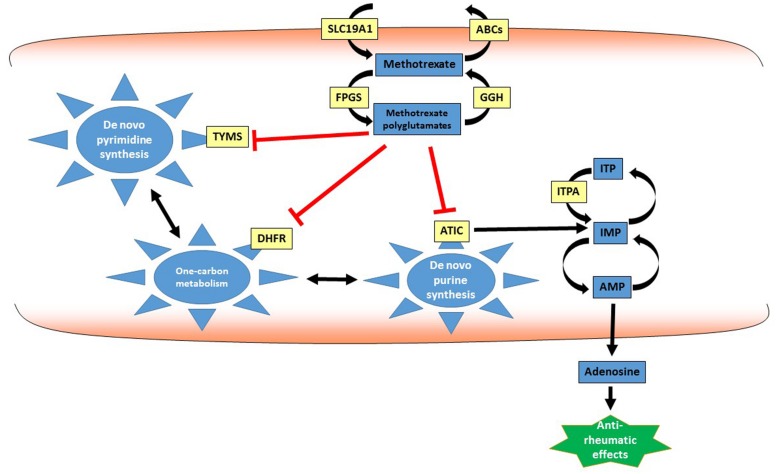 FIGURE 1