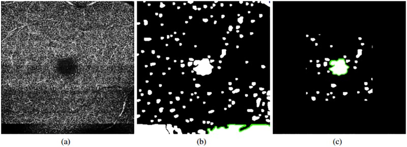 Fig 6