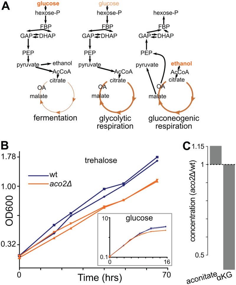 FIG 4