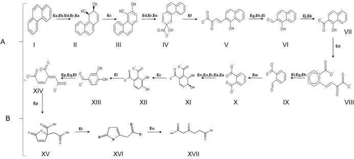 Fig 8