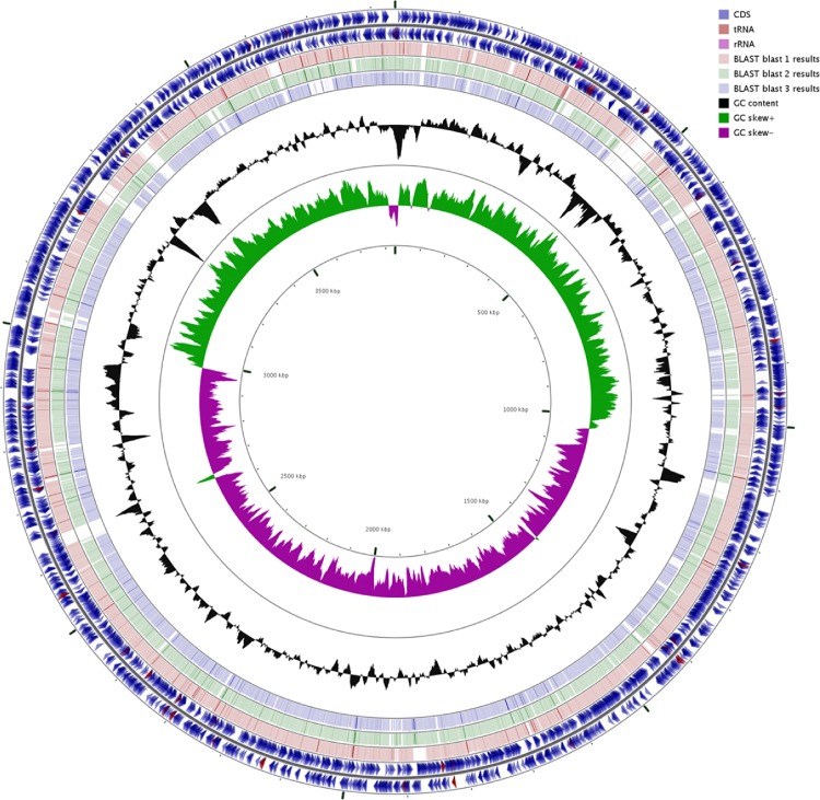 Fig 4