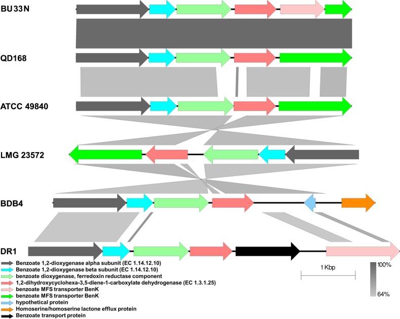 Fig 6