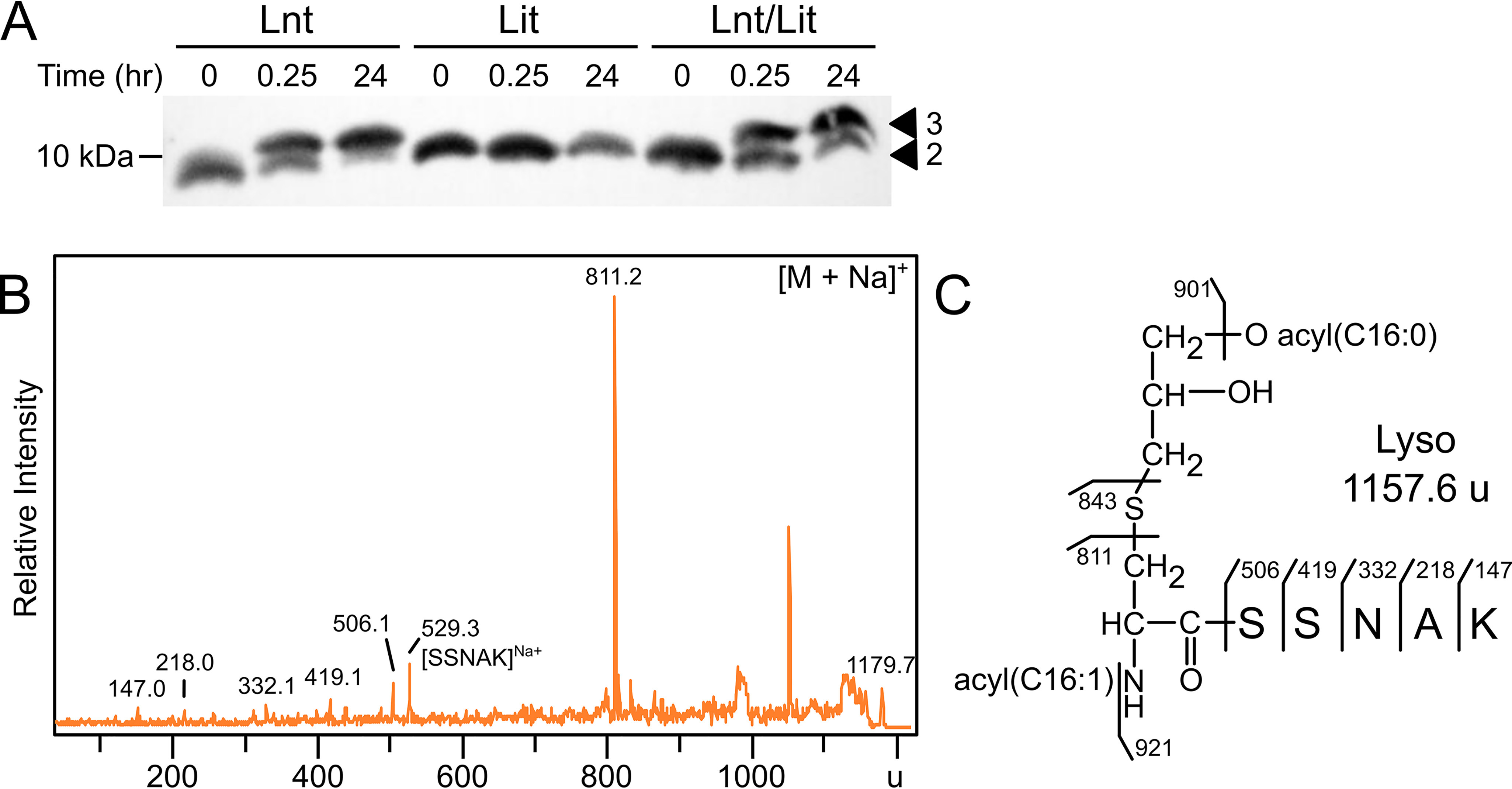 Figure 4.