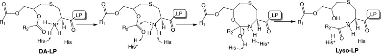 Figure 9.