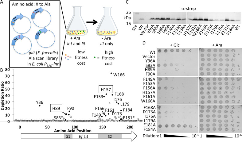 Figure 6.