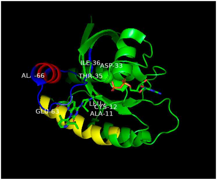 Figure 7