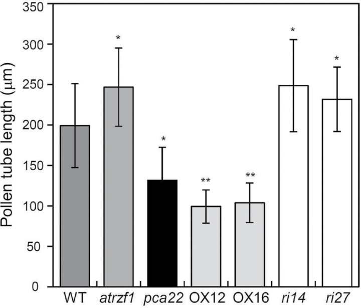 Fig. 9.