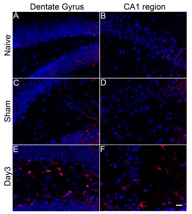 Figure 6.