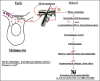 Flow diagram 1