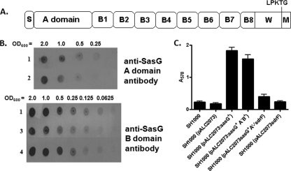 FIG. 1.