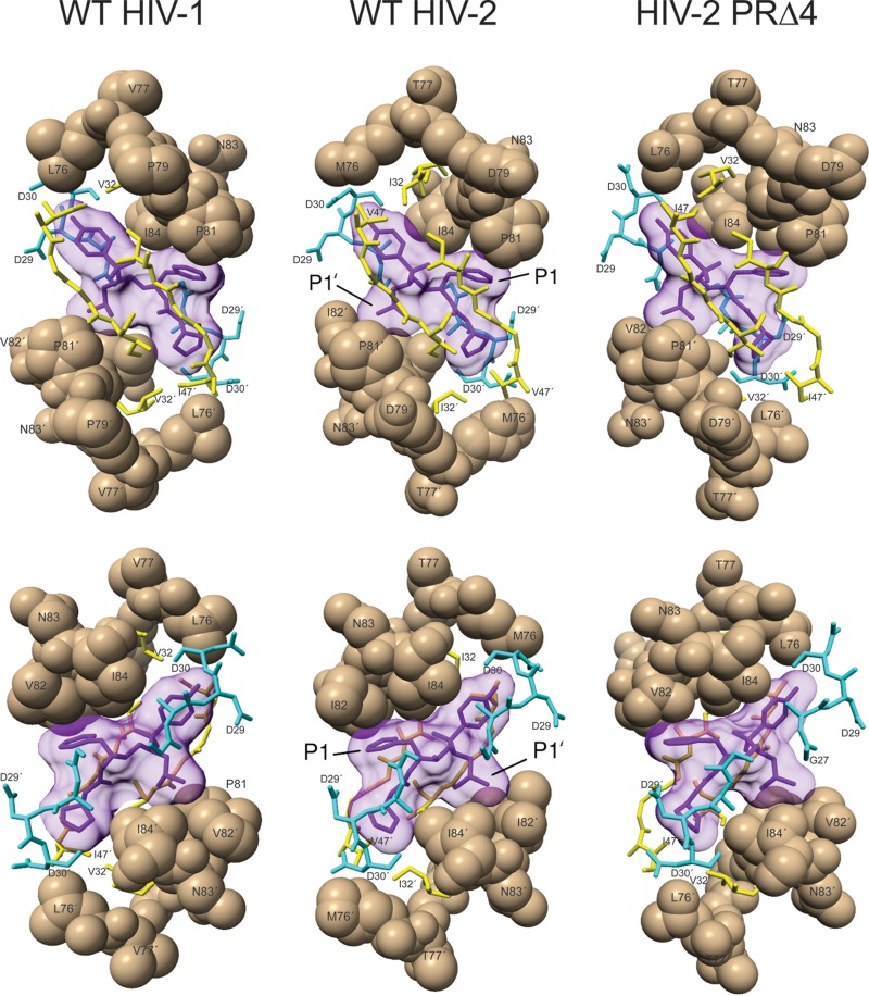 FIG 5