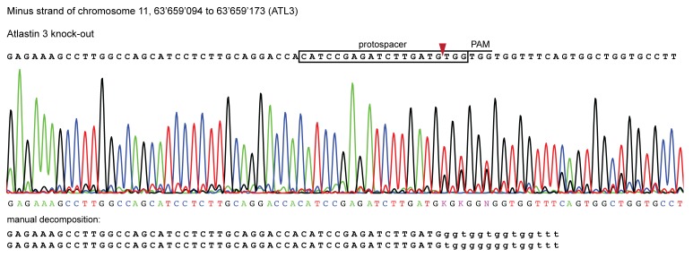 Figure 4—figure supplement 2.