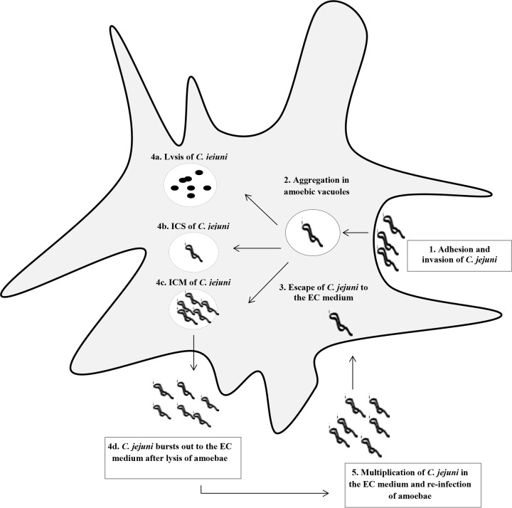 FIG 4