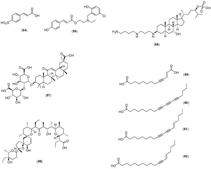 Figure 23