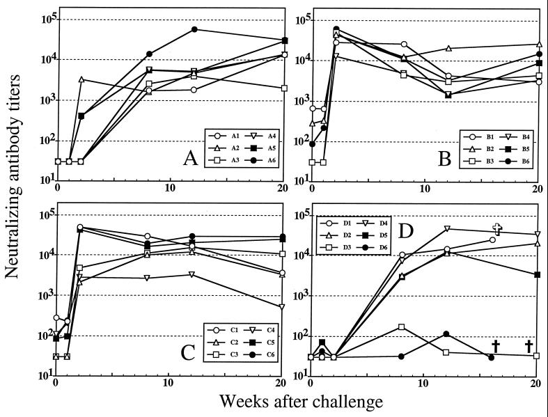 FIG. 1