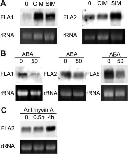 Figure 6.